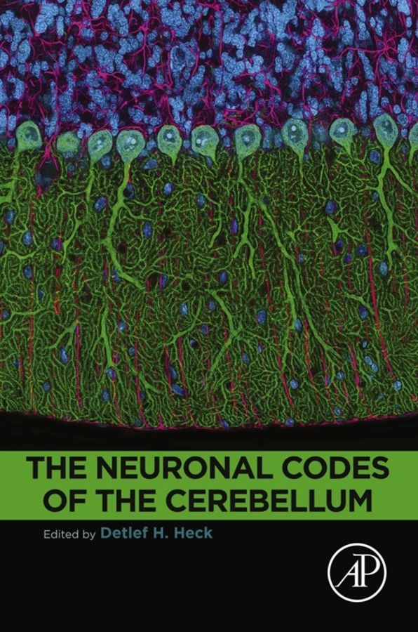 The Neuronal Codes of the Cerebellum