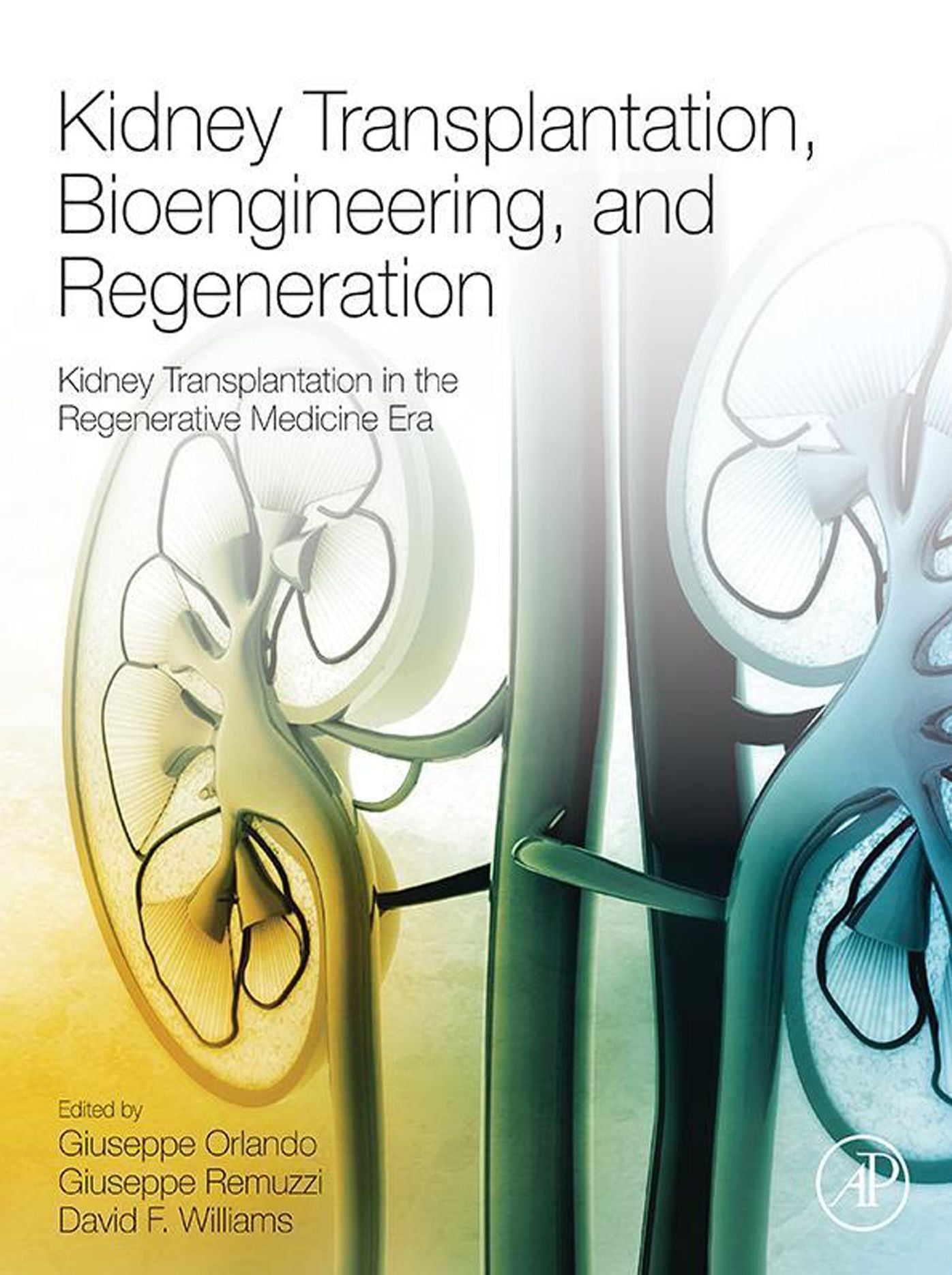 Kidney Transplantation, Bioengineering, and Regeneration: Kidney Transplantation in the Regenerative Medicine Era
