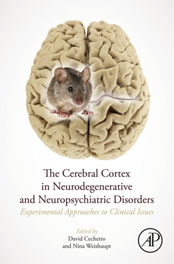 The Cerebral Cortex in Neurodegenerative and Neuropsychiatric Disorders: Experimental Approaches to Clinical Issues