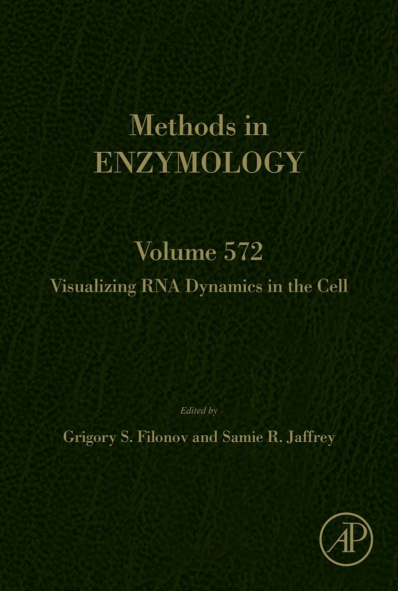 Visualizing RNA Dynamics in the Cell