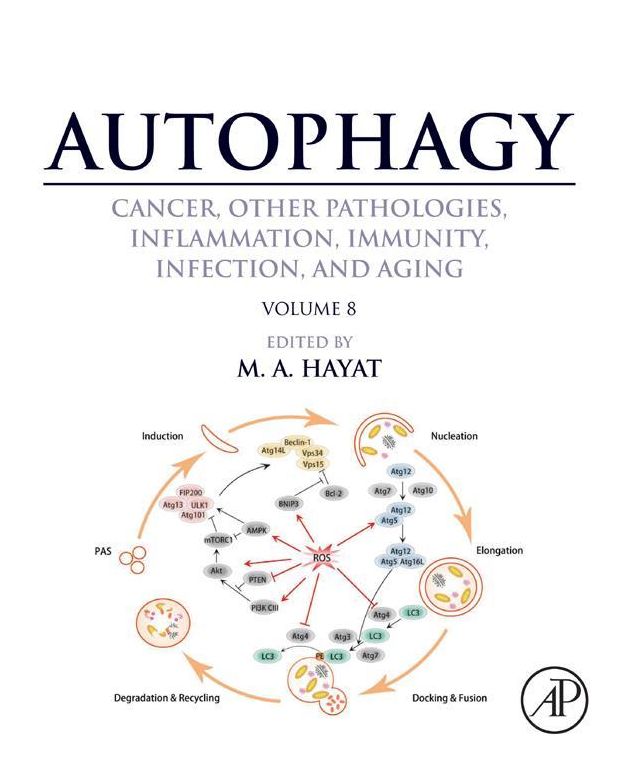Autophagy: Cancer, Other Pathologies, Inflammation, Immunity, Infection, and Aging: Volume 8- Human Diseases