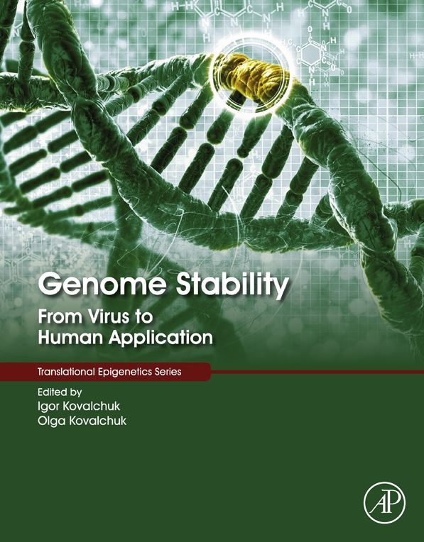 Genome Stability: From Virus to Human Application