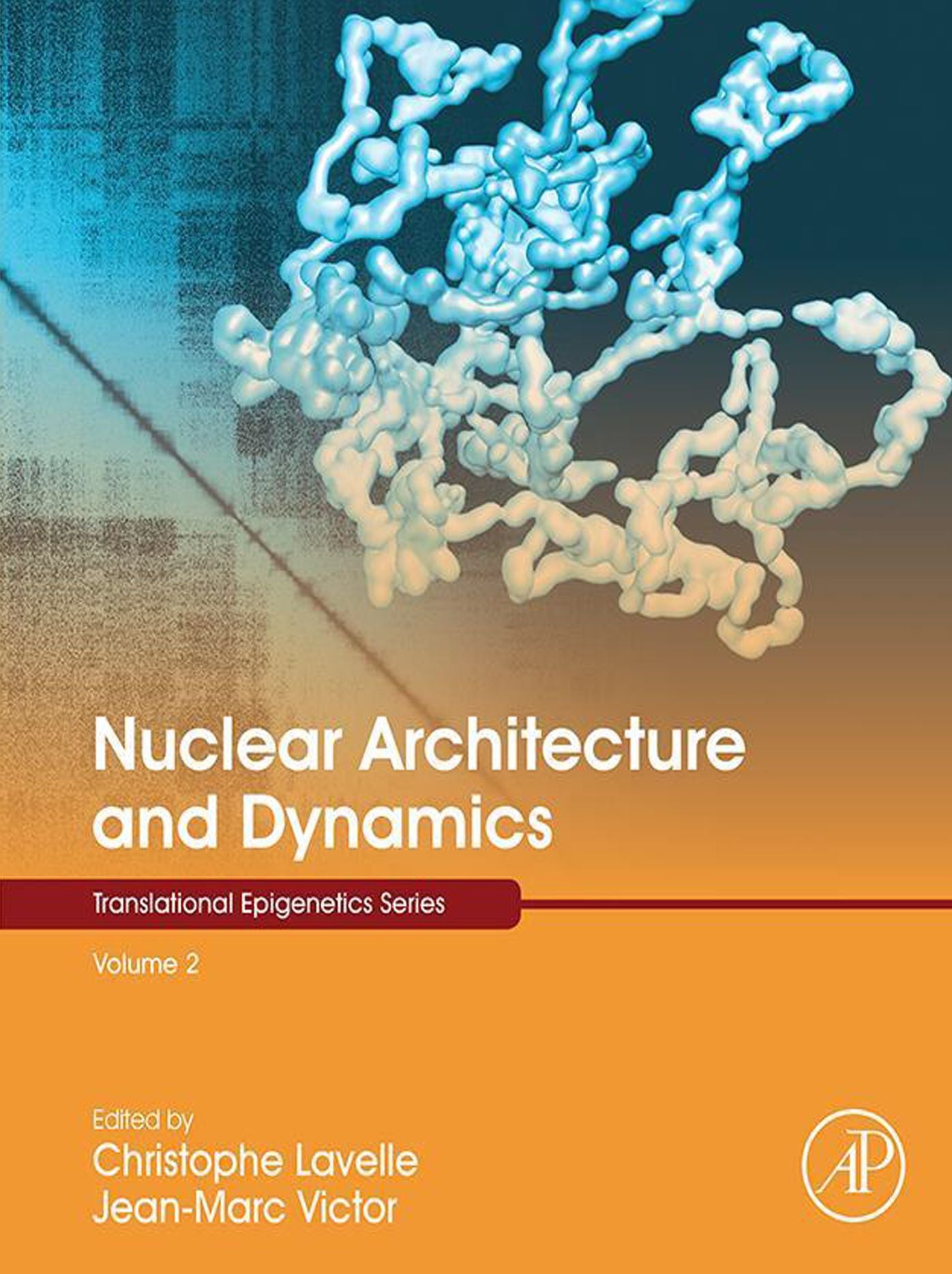 Nuclear Architecture and Dynamics