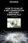 How to Scale-Up a Wet Granulation End Point Scientifically