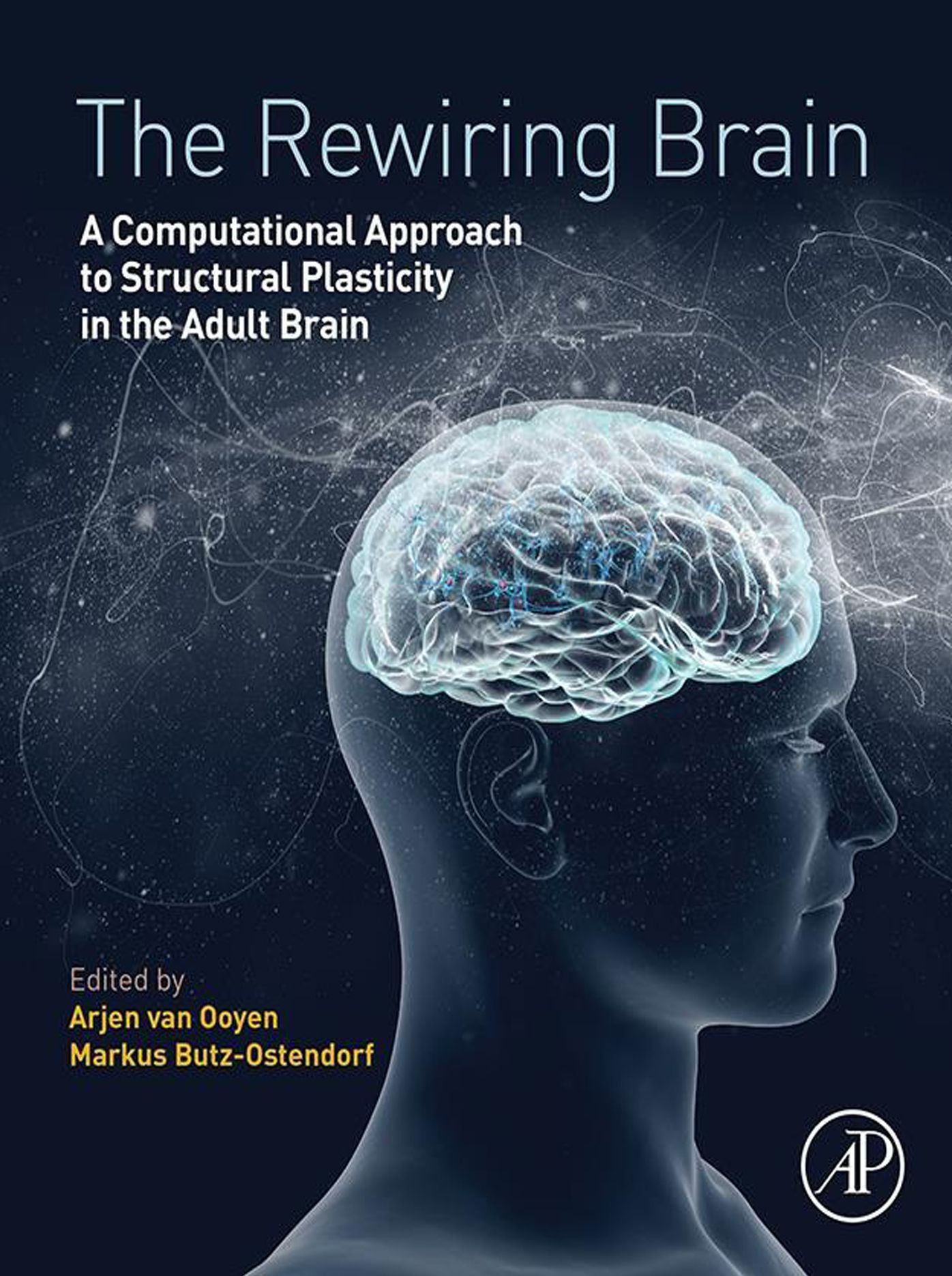 The Rewiring Brain: A Computational Approach to Structural Plasticity in the Adult Brain