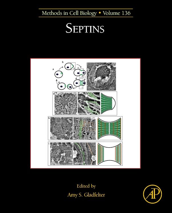 Septins