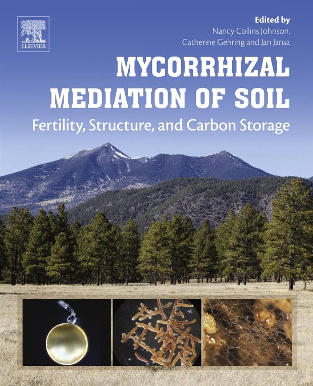 Mycorrhizal Mediation of Soil: Fertility, Structure, and Carbon Storage