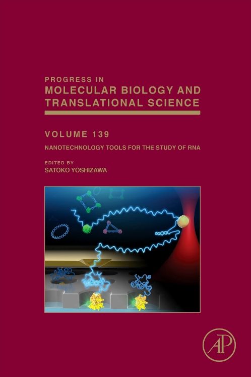 Nanotechnology Tools for the Study of RNA
