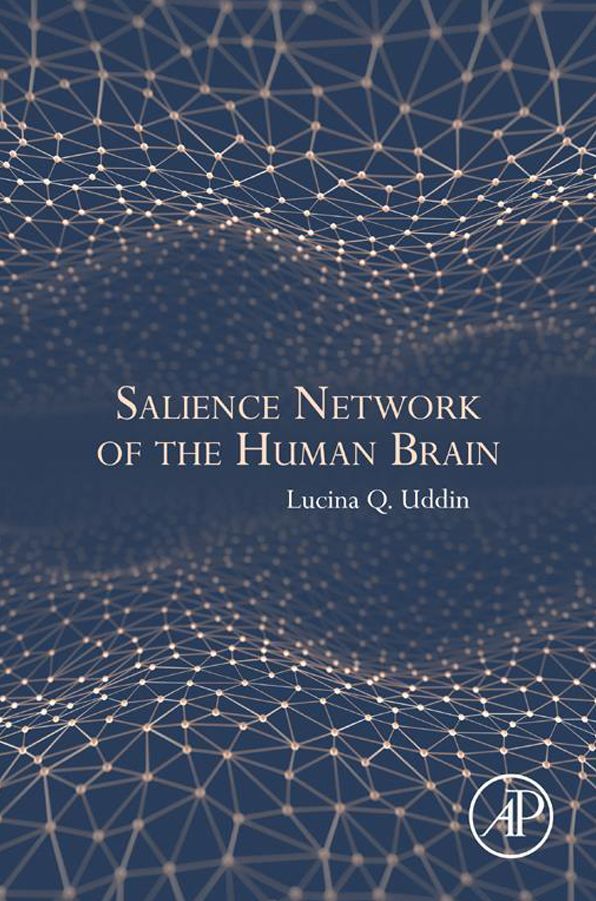 Salience Network of the Human Brain