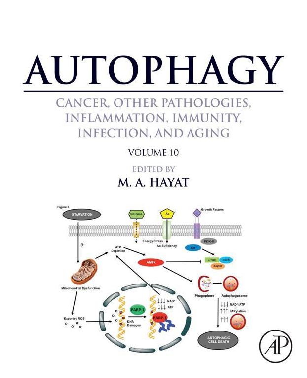 Autophagy: Cancer, Other Pathologies, Inflammation, Immunity, Infection, and Aging: Volume 10
