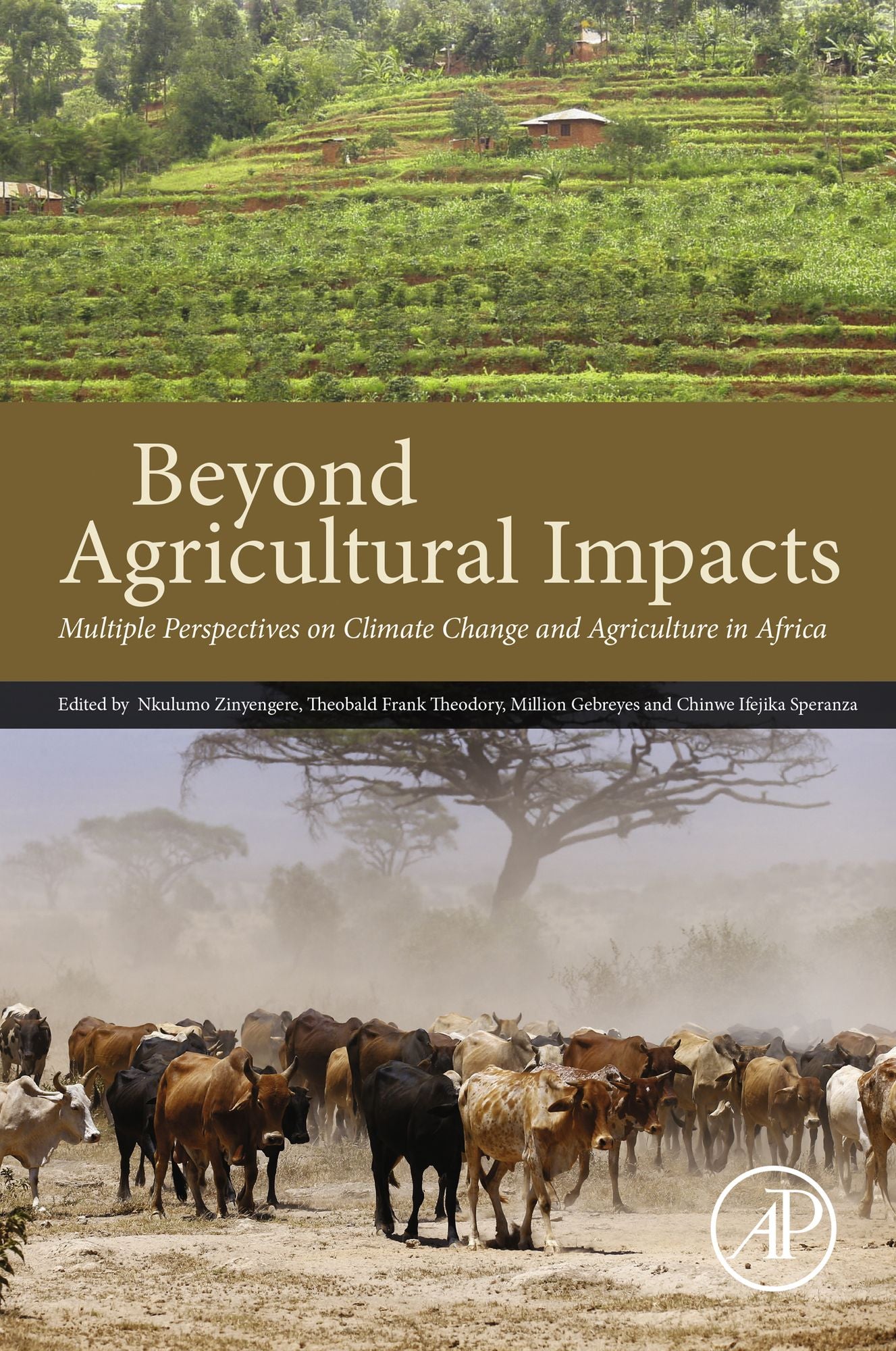 Beyond Agricultural Impacts: Multiple Perspectives on Climate Change and Agriculture in Africa