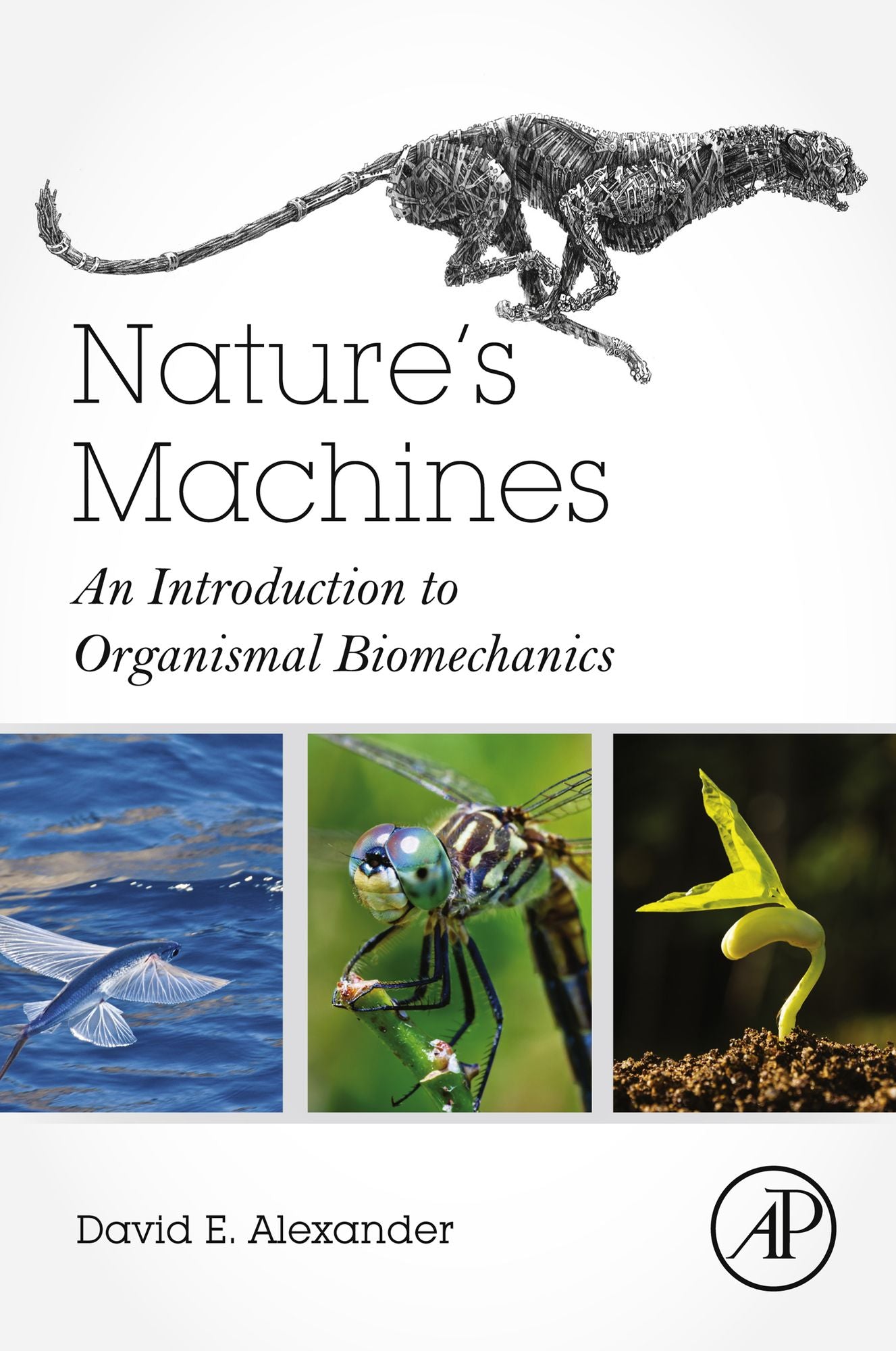 Nature's Machines: An Introduction to Organismal Biomechanics