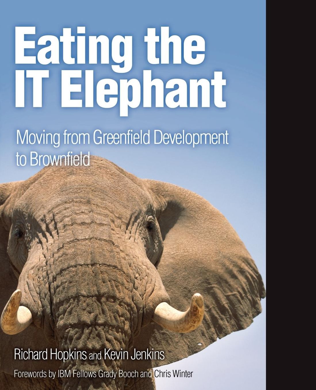 Eating the IT Elephant: Moving from Greenfield Development to Brownfield