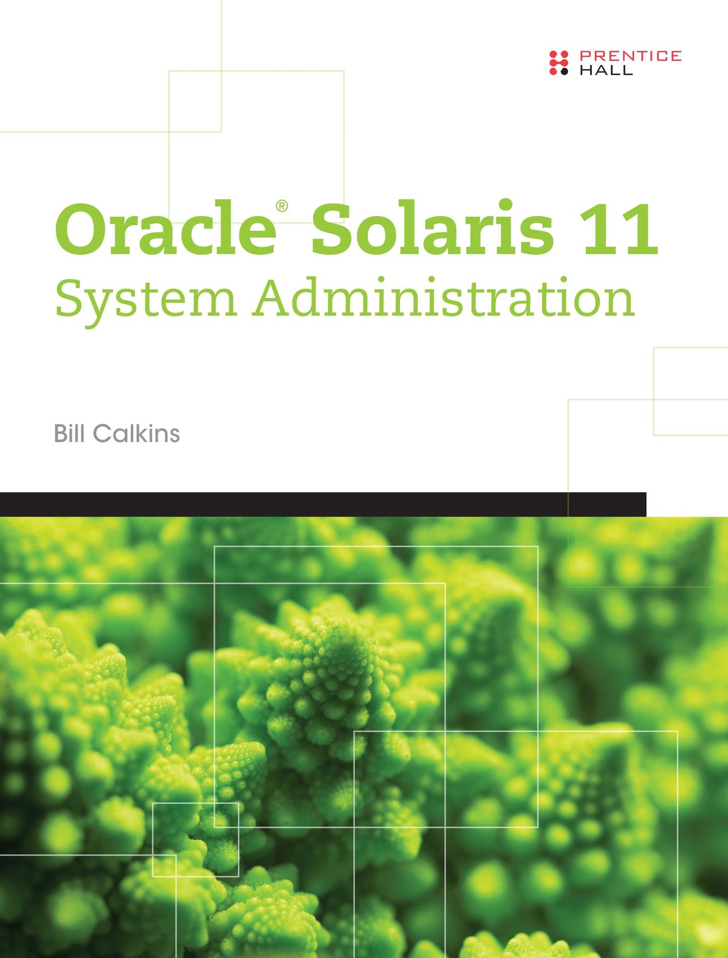 Oracle&reg; Solaris 11 System Administration: Oracle Solaris 11 Sys Ad_p1