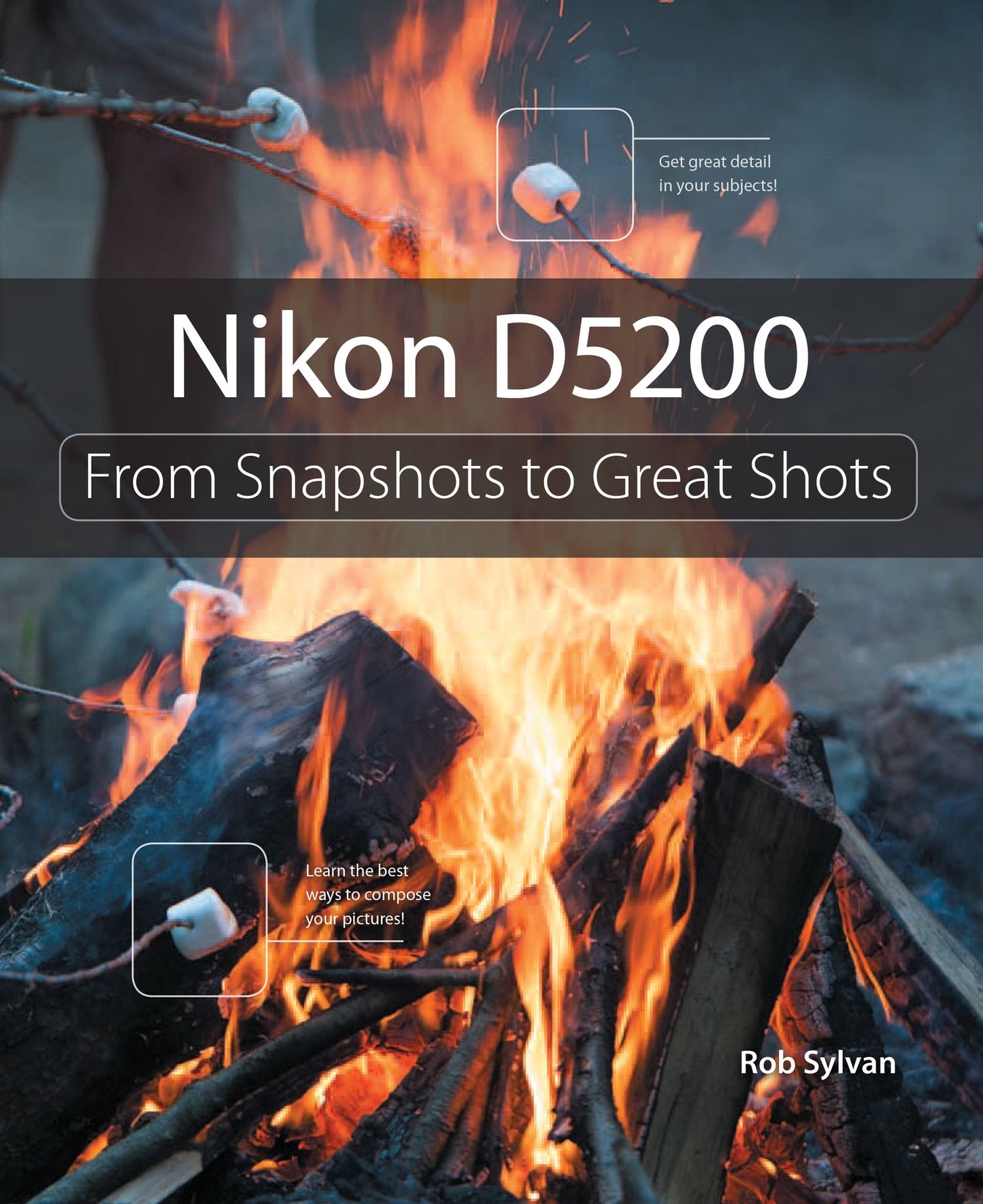 Nikon D5200: From Snapshots to Great Shots