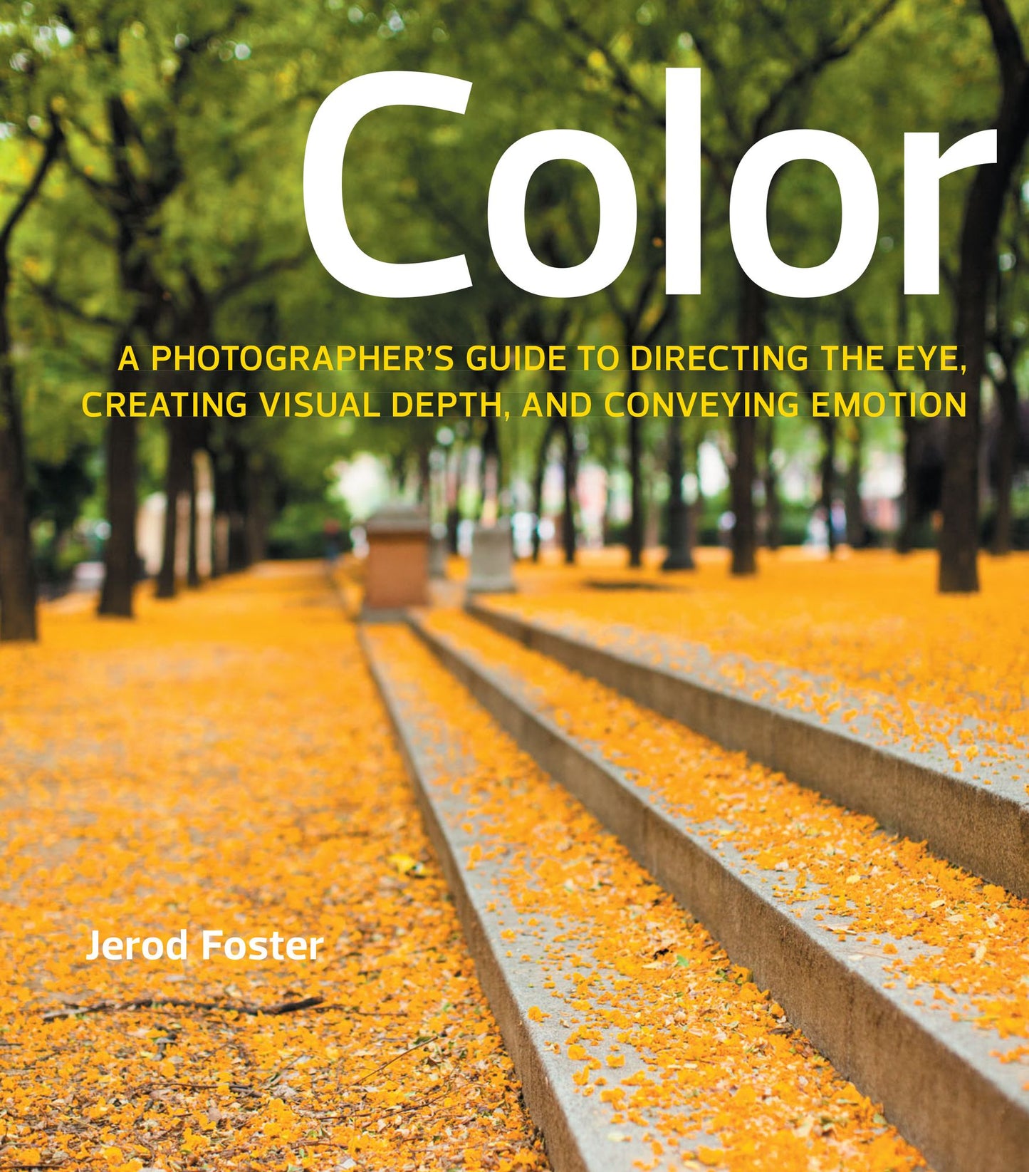 Color: A Photographer's Guide to Directing the Eye, Creating Visual Depth, and Conveying Emotion