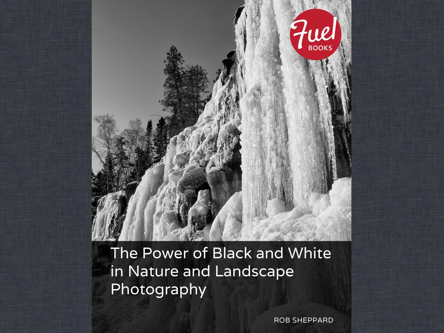 The Power of Black and White in Nature and Landscape Photography
