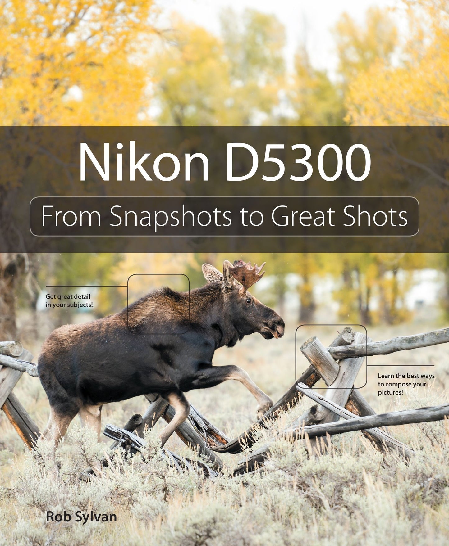 Nikon D5300: From Snapshots to Great Shots