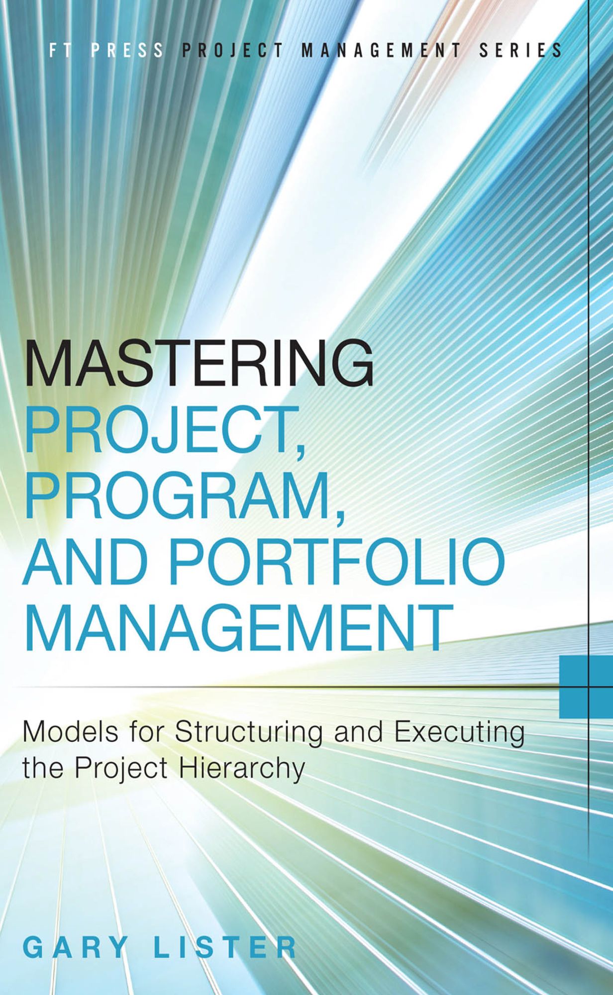 Mastering Project, Program, and Portfolio Management: Models for Structuring and Executing the Project Hierarchy