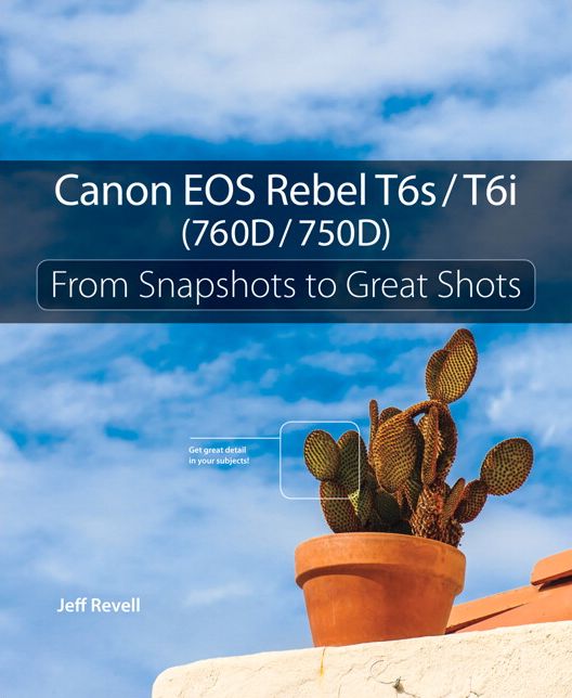 Canon EOS Rebel T6s / T6i (760D / 750D): From Snapshots to Great Shots