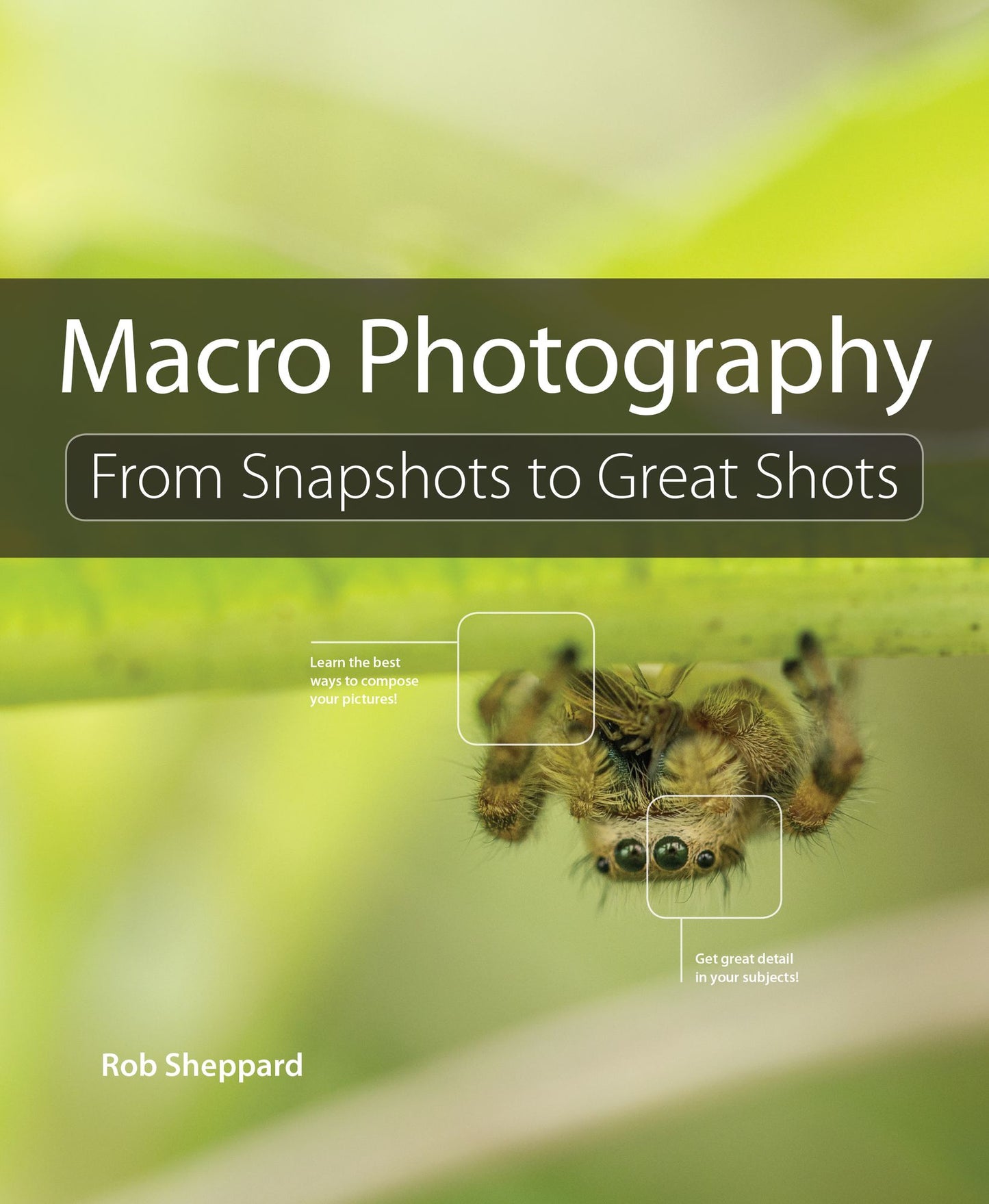 Macro Photography: From Snapshots to Great Shots