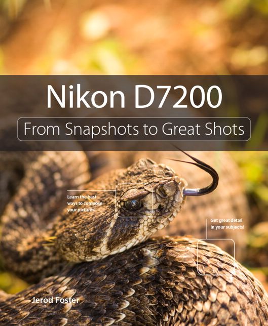Nikon D7200: From Snapshots to Great Shots