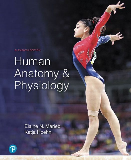 Human Anatomy Physiology