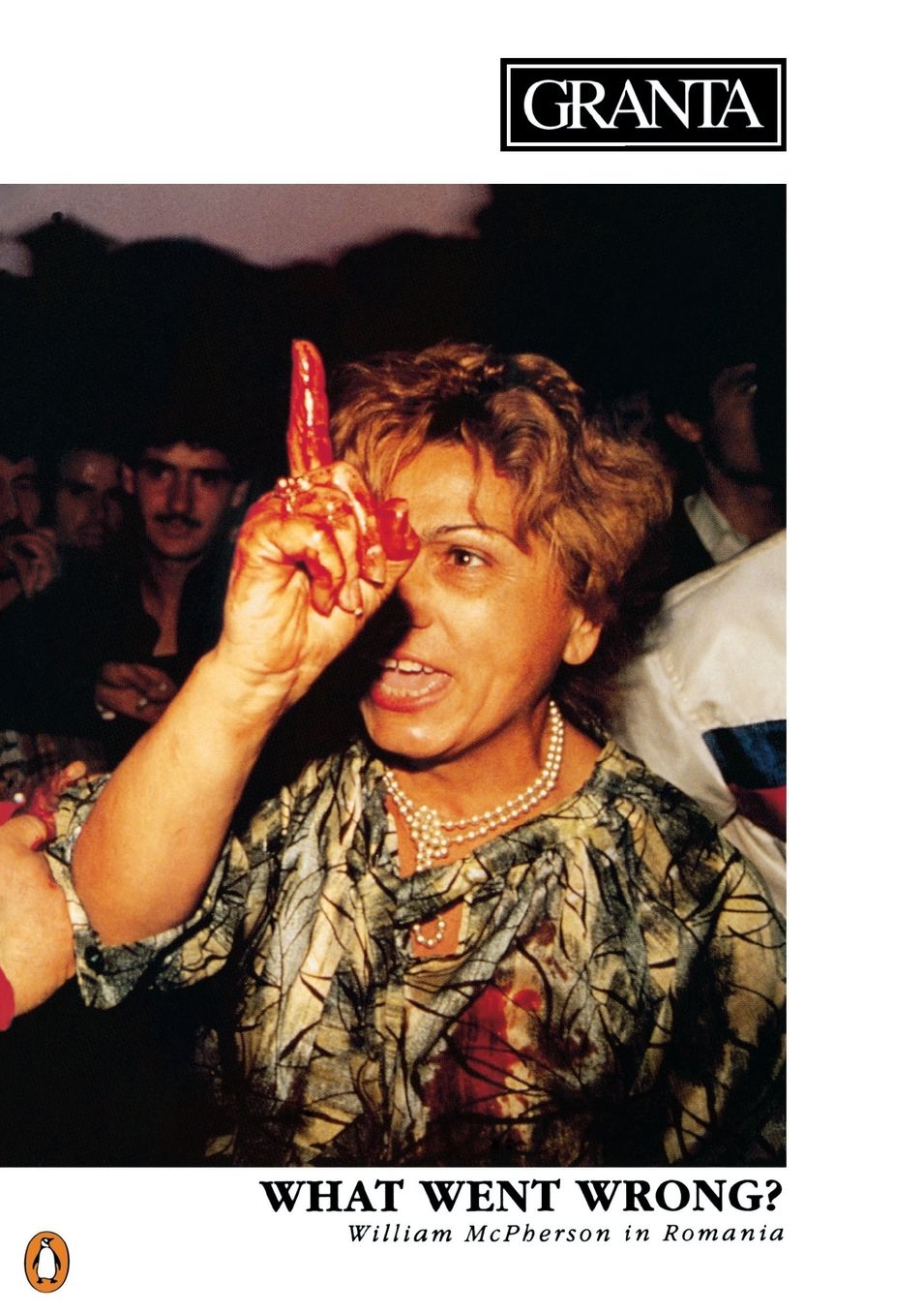 What Went Wrong? (Granta #33)