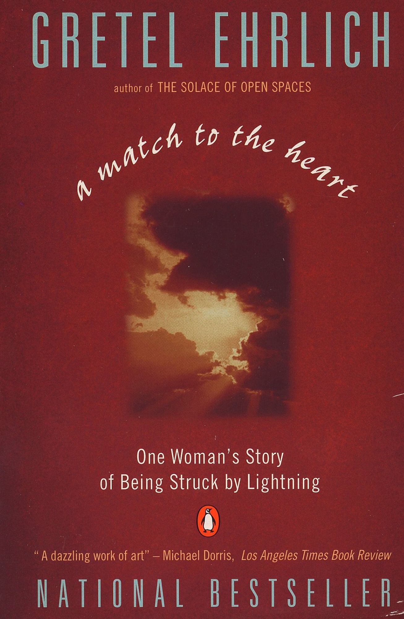 Match to the Heart: One Woman's Story of Being Struck by Lightning