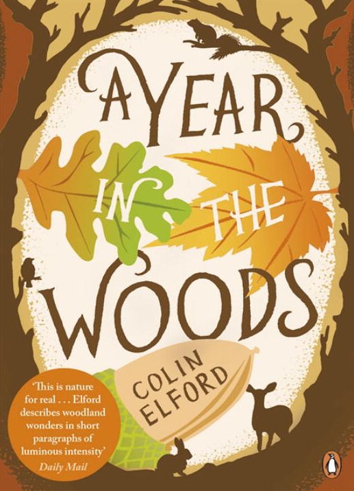 Year In The Woods,A: The Diary Of A Forest Ranger