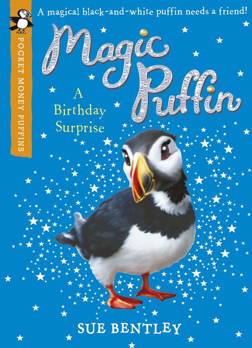 Magic Puffin: A Birthday Surprise (Pocket Money Puffin): A Birthday Surprise (Pocket Money Puffin)