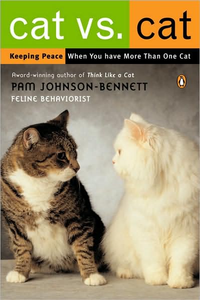 Cat Vs. Cat: Keeping Peace When You Have More Than One Cat
