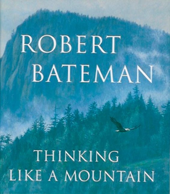 Thinking Like a Mountain