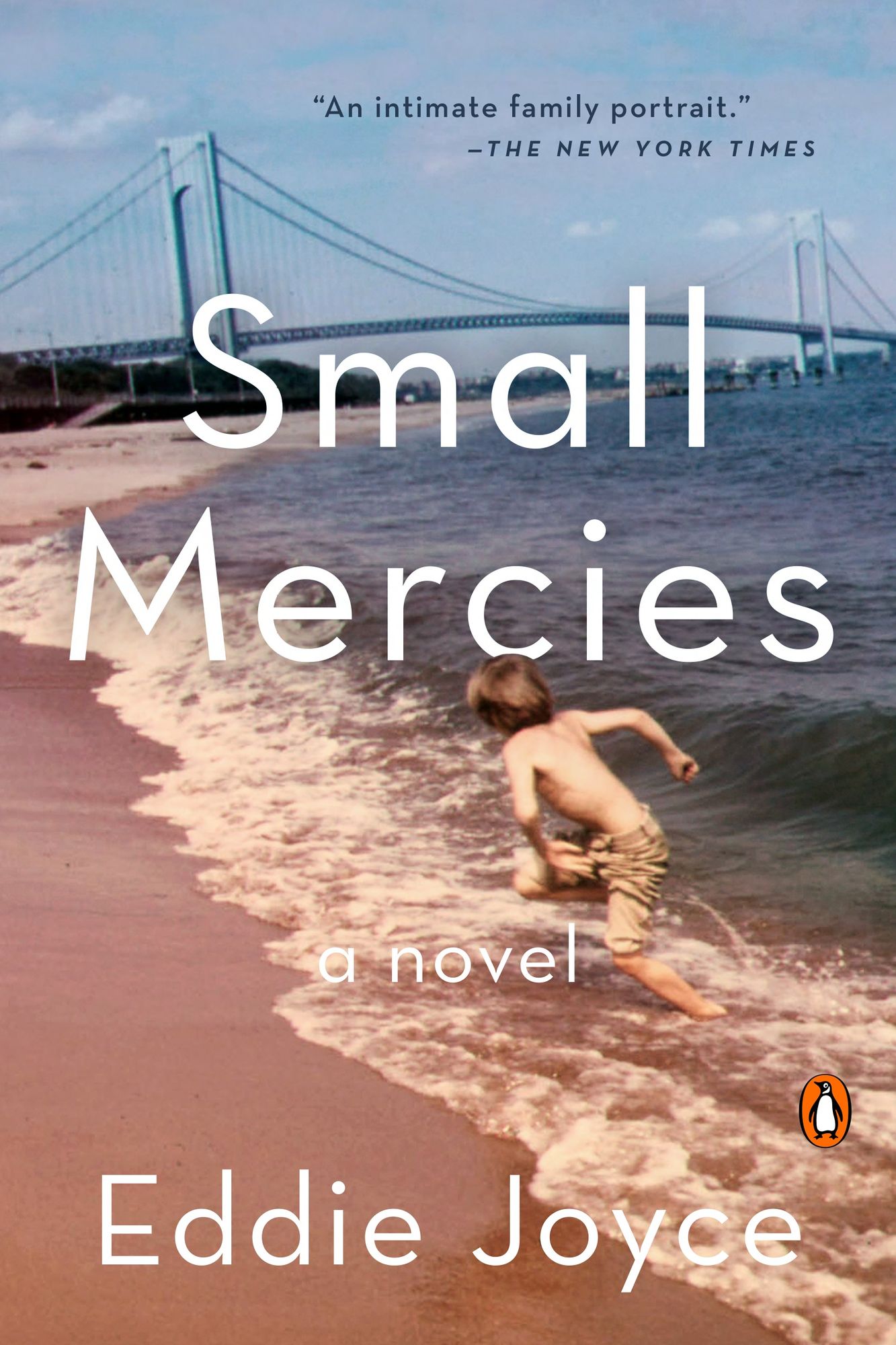 Small Mercies: A Novel