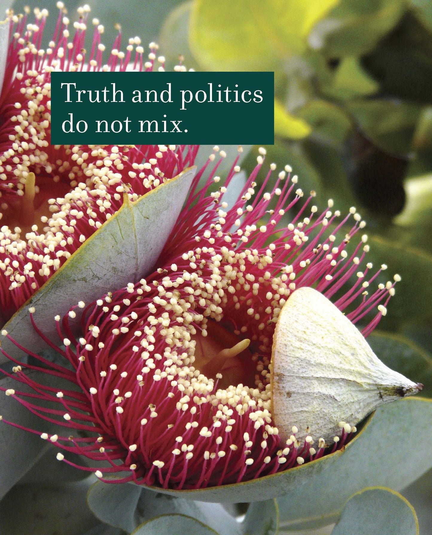 The Wisdom of the Universe: Essential Truths from the Beloved Conversations with God Trilogy