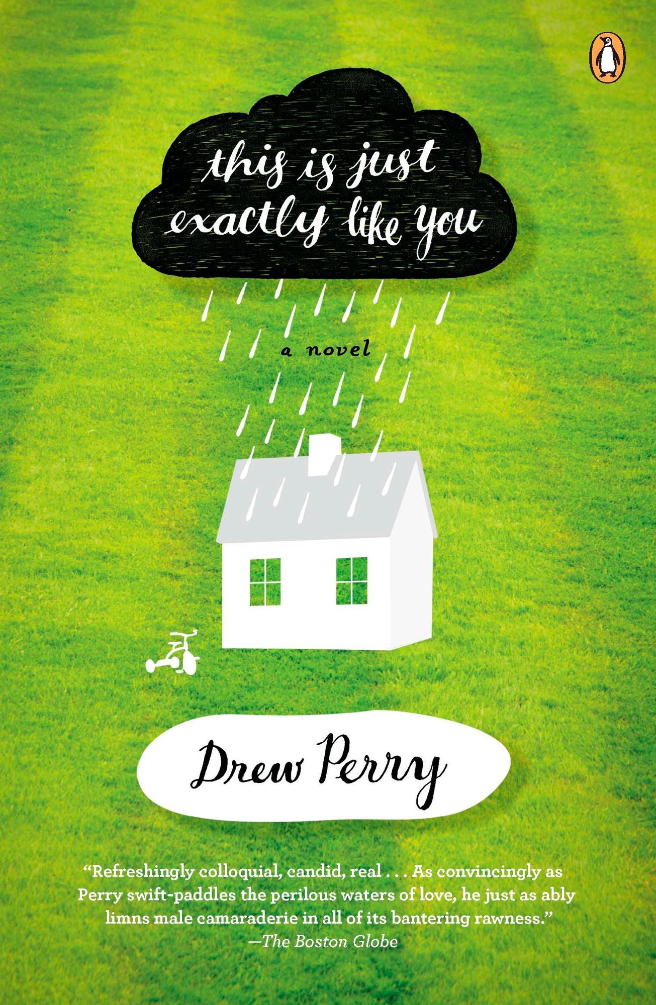 This Is Just Exactly Like You: A Novel