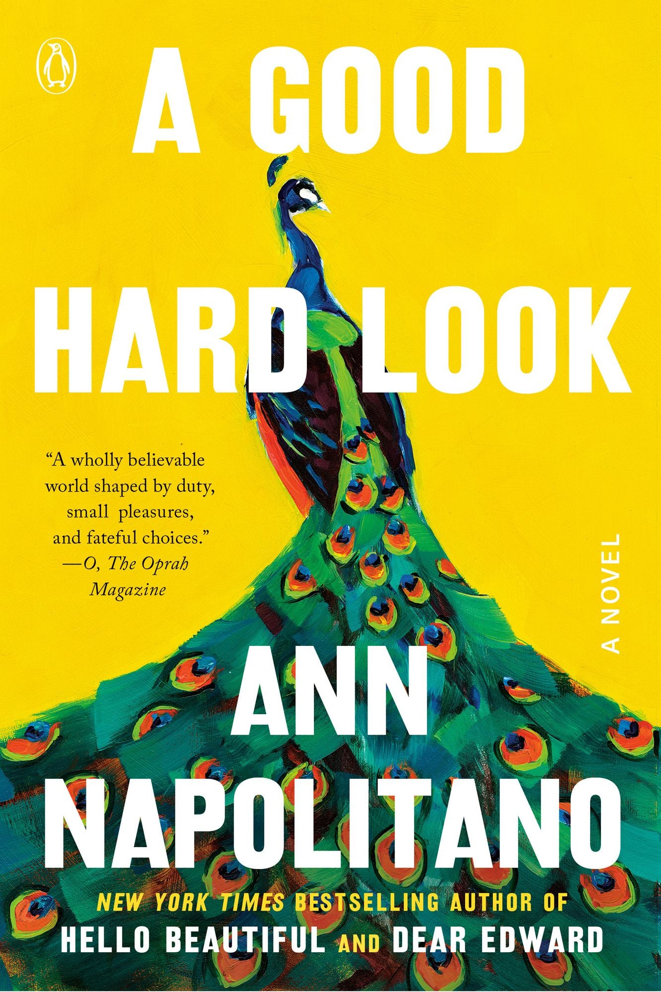 A Good Hard Look: A Novel of Flannery O'Connor