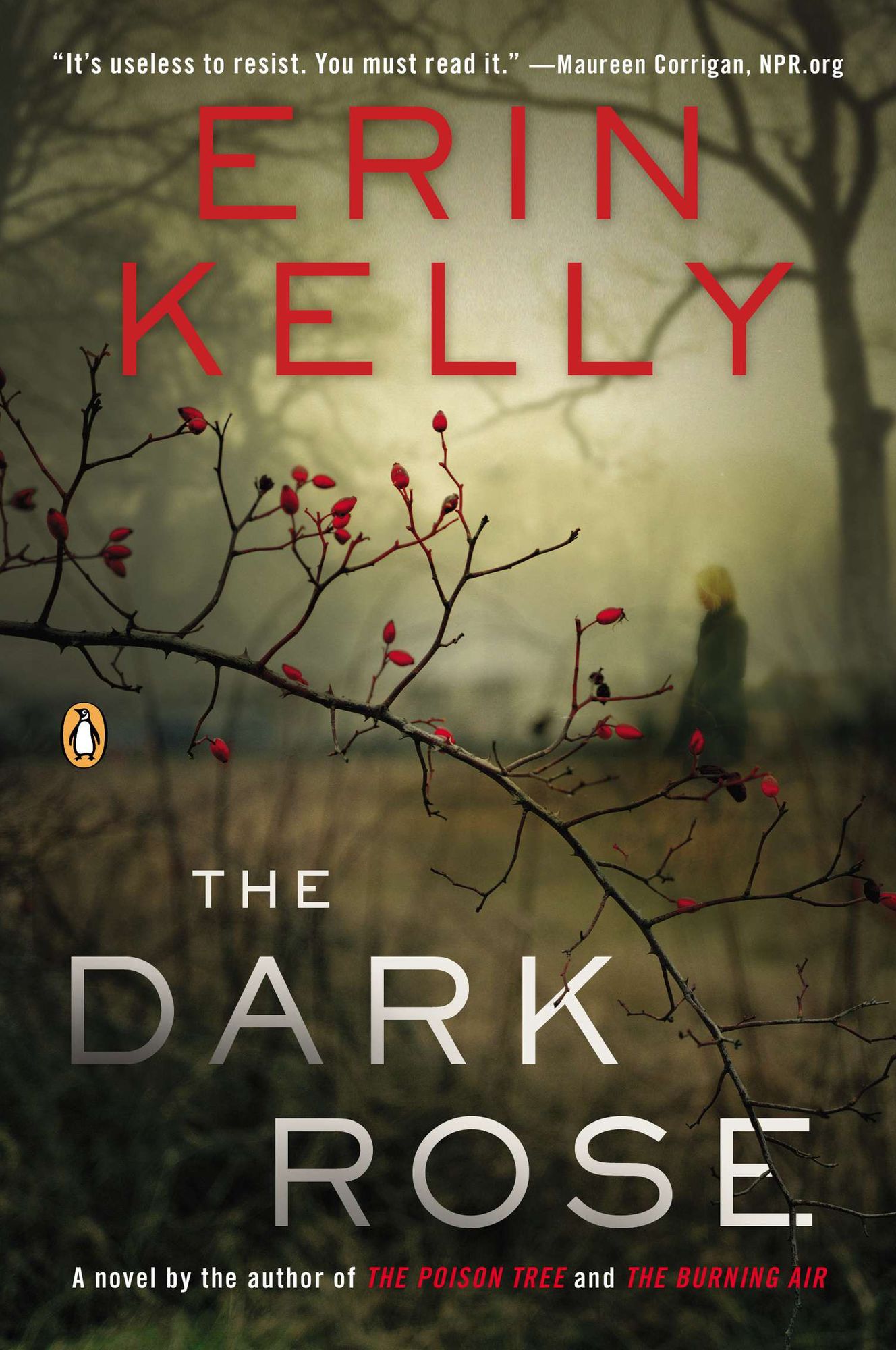 The Dark Rose: A Novel