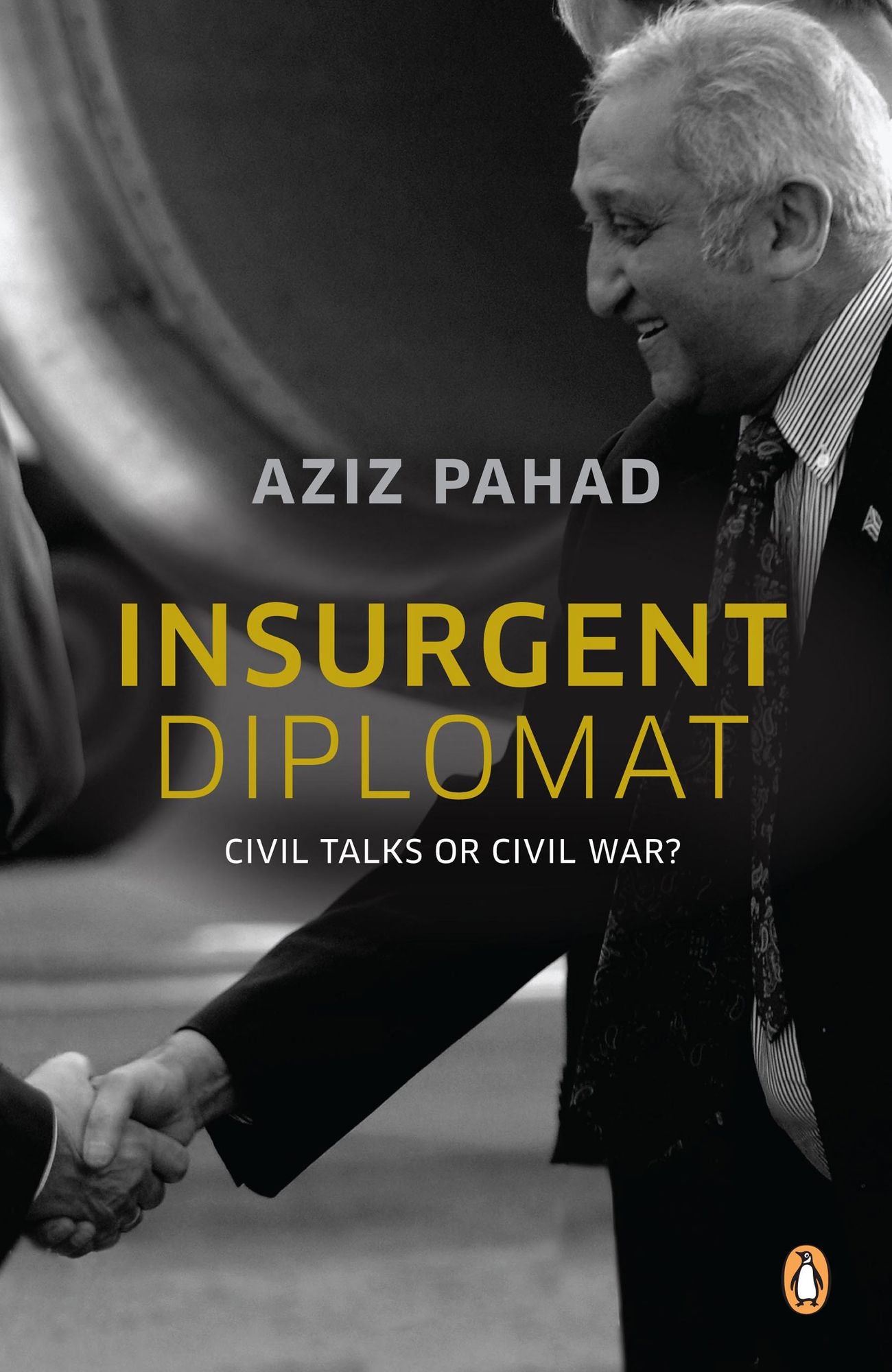 Insurgent Diplomat - Civil Talks or Civil War?