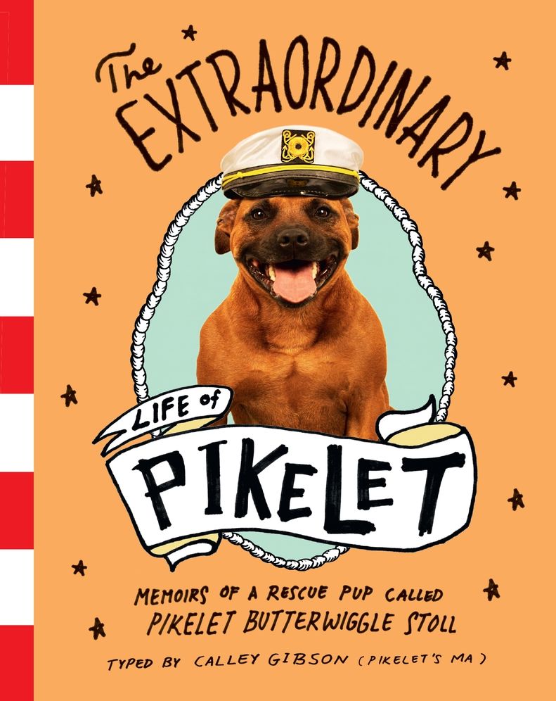 The Extraordinary Life of Pikelet