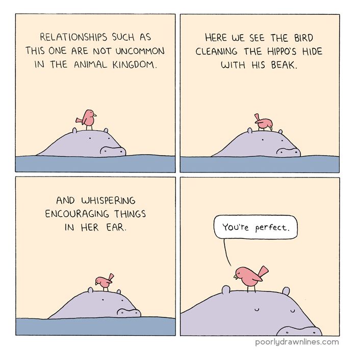Poorly Drawn Lines: Good Ideas and Amazing Stories