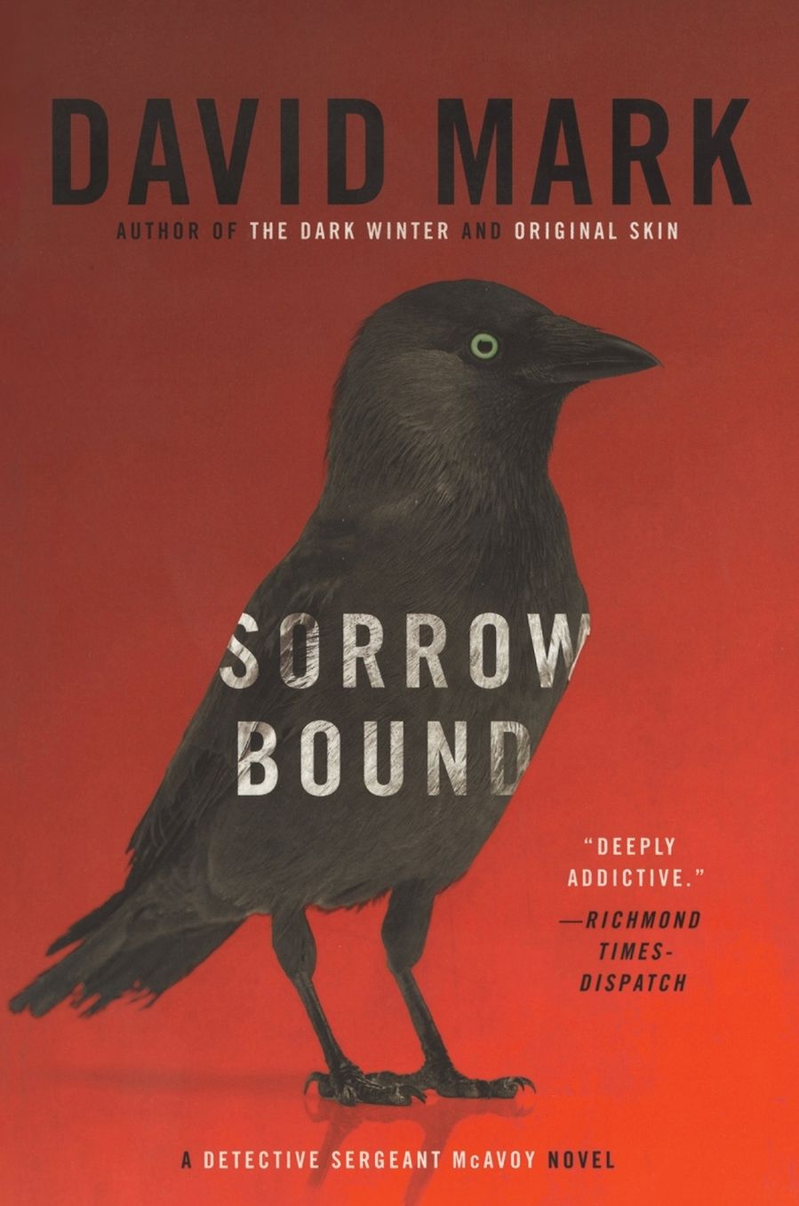 Sorrow Bound: A Detective Sergeant McAvoy Novel