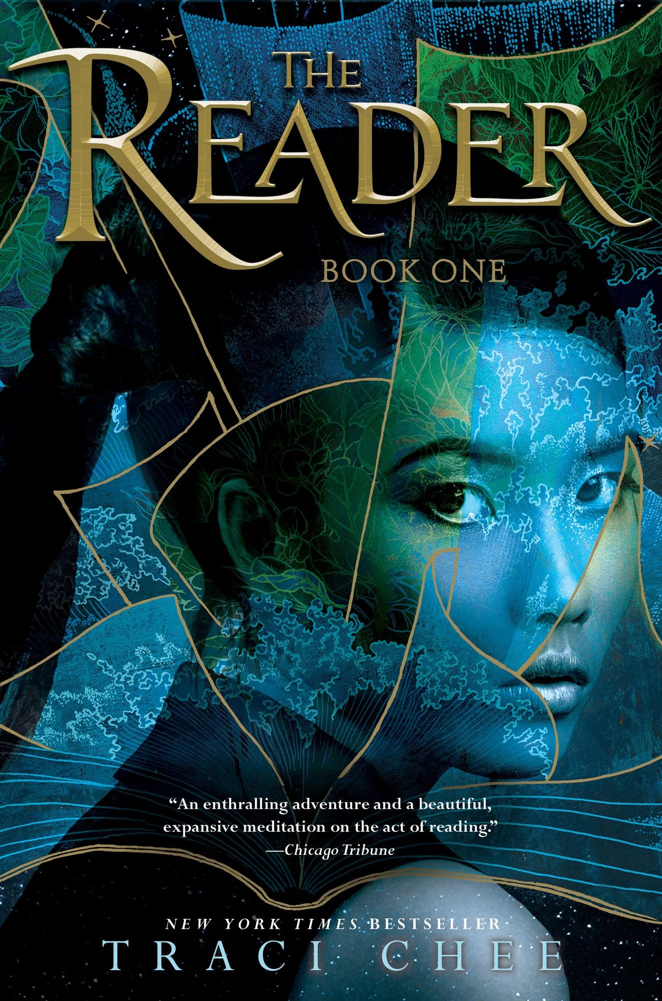 The Reader (Sea of Ink and Gold Series #1)