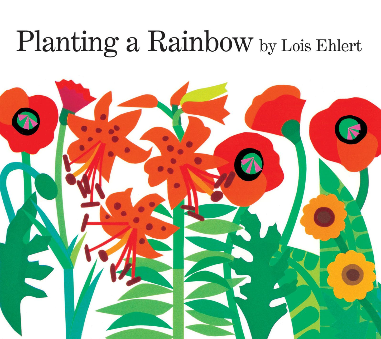 Planting a Rainbow: Lap-Sized Board Book