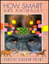 How Smart Are Animals?