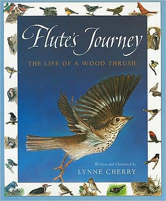 Harcourt School Publishers Collections: Chapter Book Grade 4 Flute's Journey