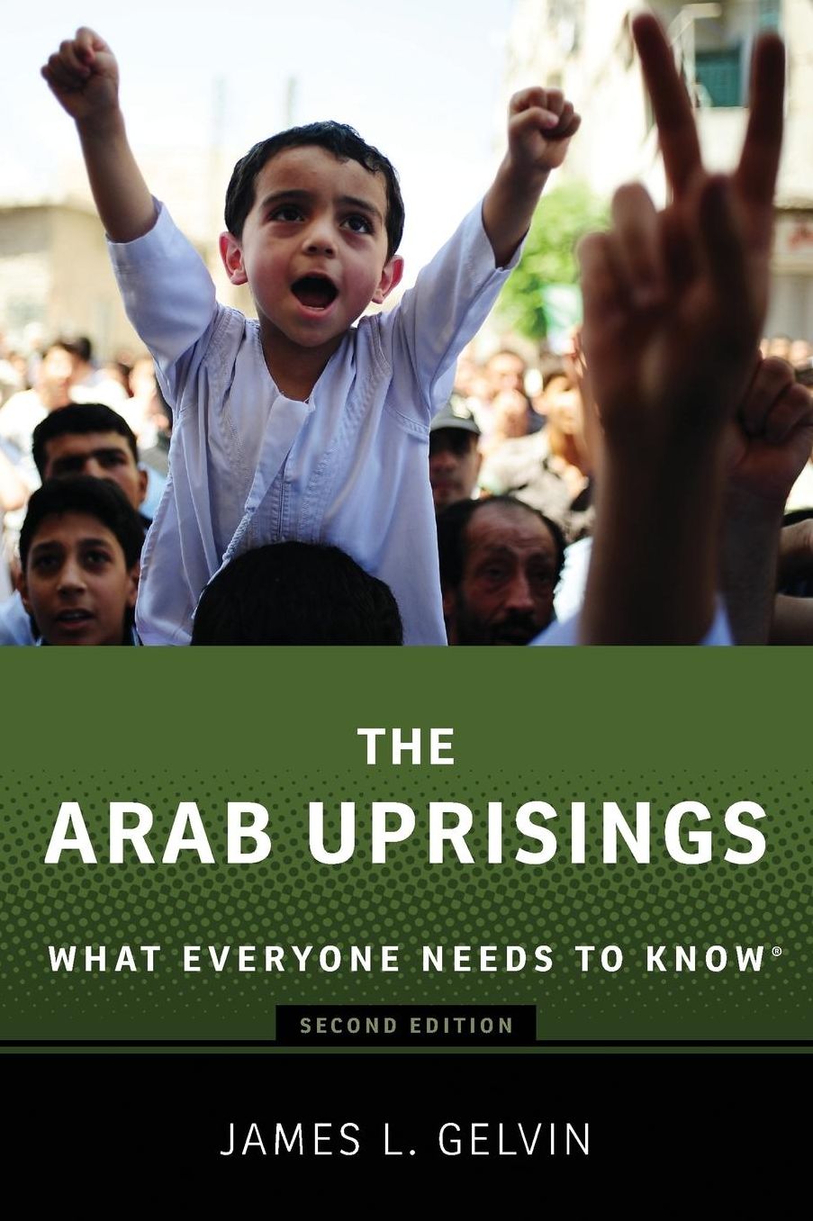 The Arab Uprisings: What Everyone Needs to Know(r)
