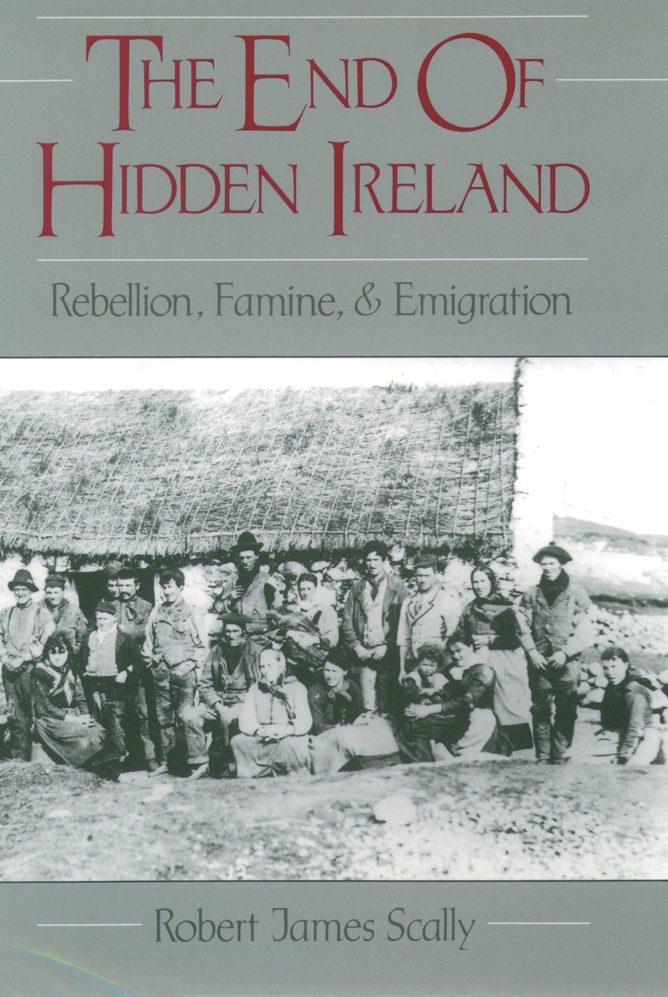 The End of Hidden Ireland: Rebellion, Famine, and Emigration