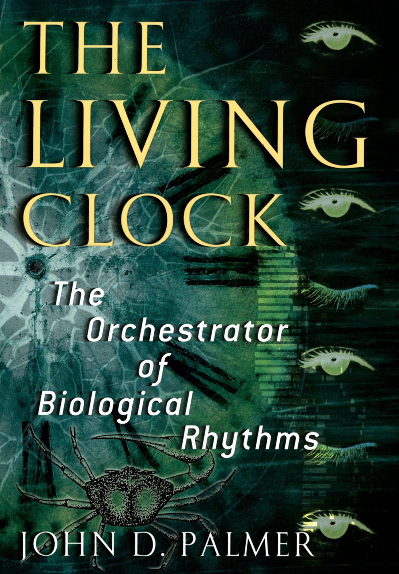 The Living Clock: The Orchestrator of Biological Rhythms