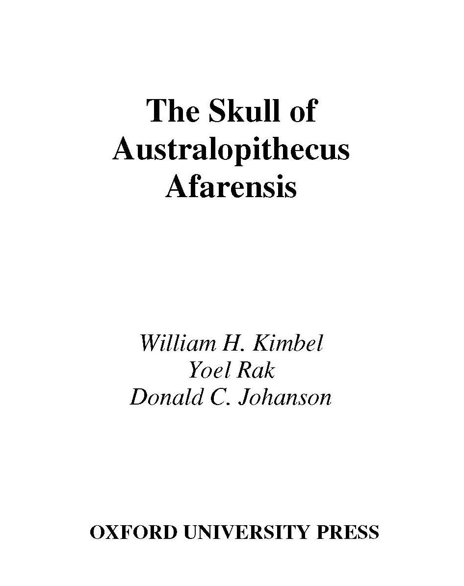 The Skull of Australopithecus afarensis